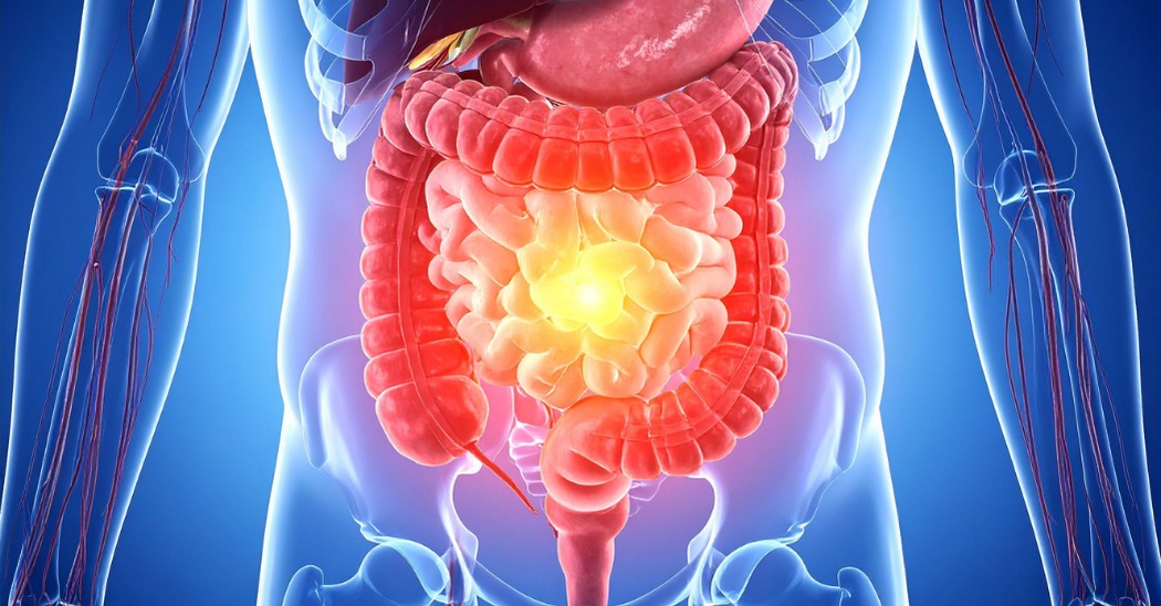 Motilidad intestinal: 5 cosas que debes saber para que tu digestión fluya mejor